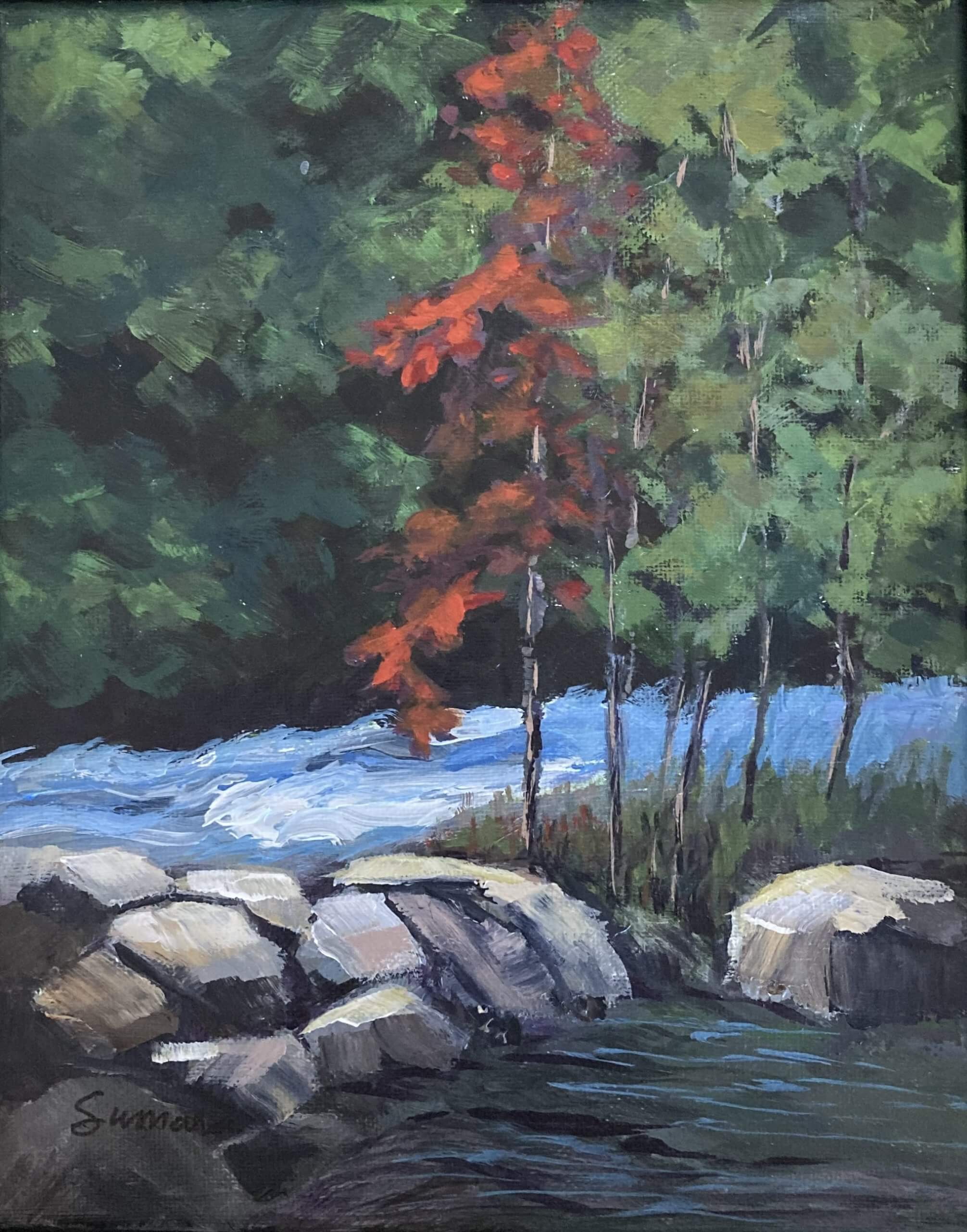 Single Red Tree.  Gull River