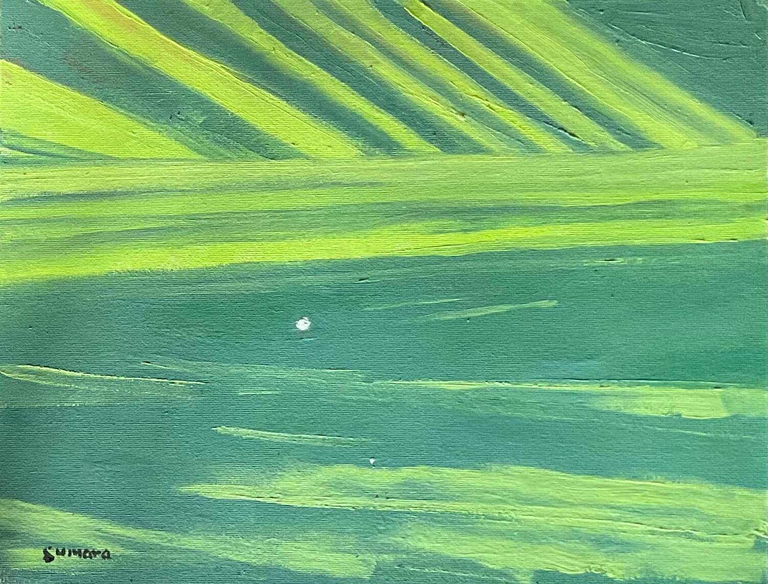 Masters fairway shadows