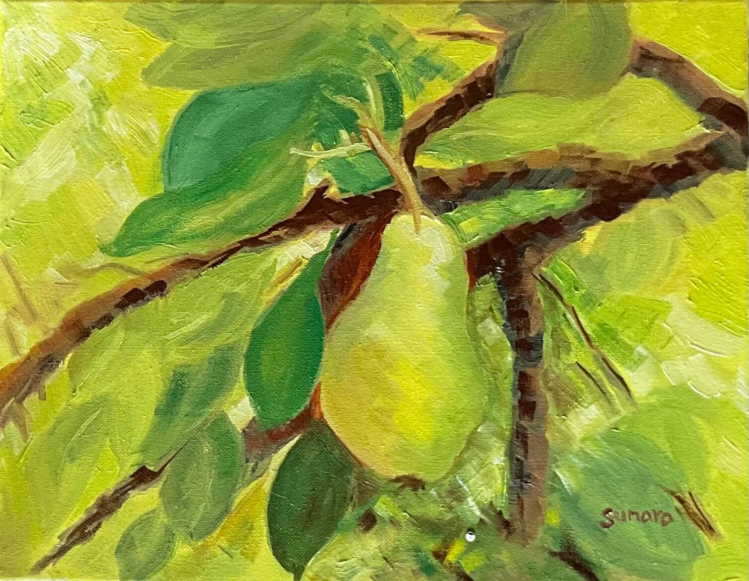Pear tree