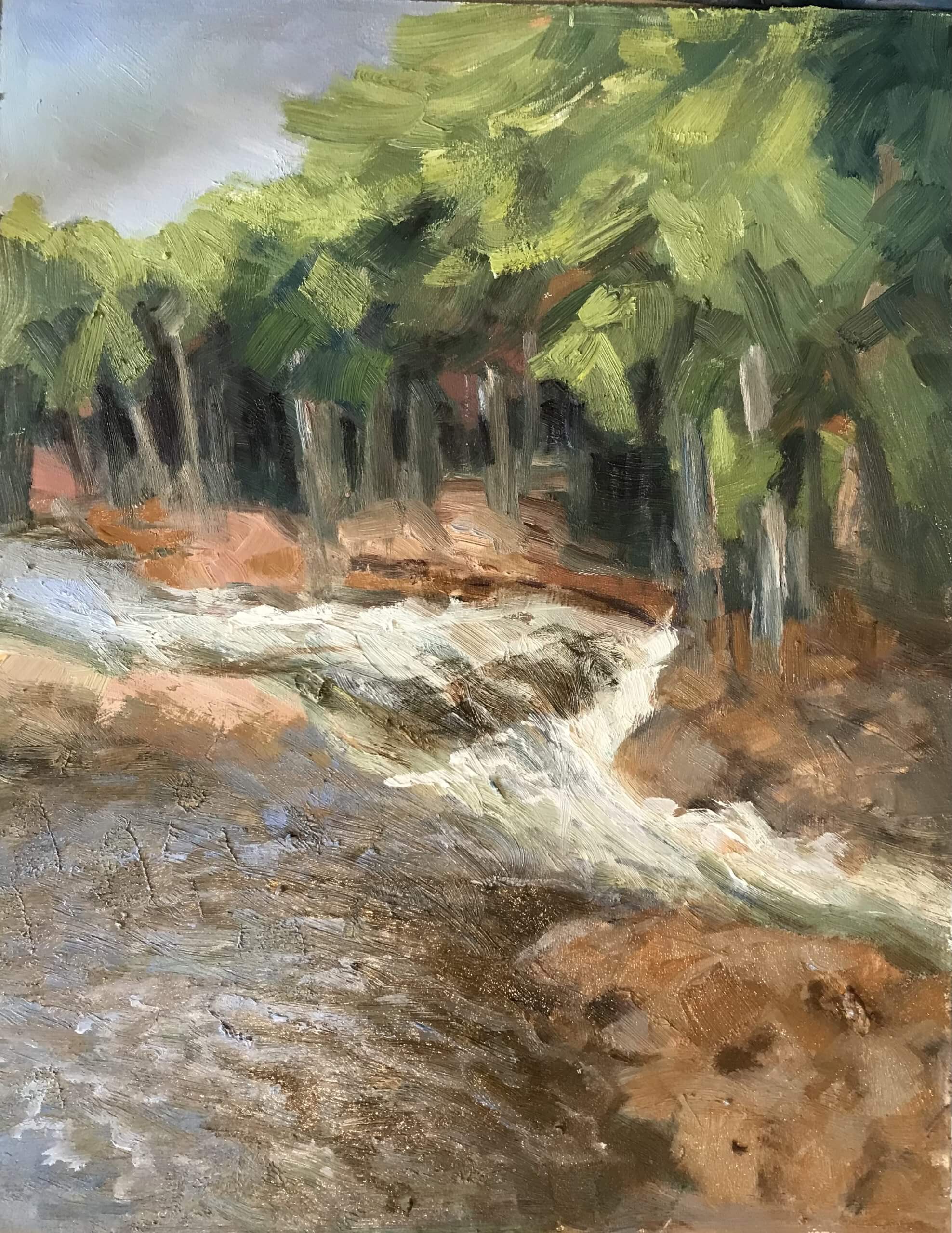 Minden Rapids