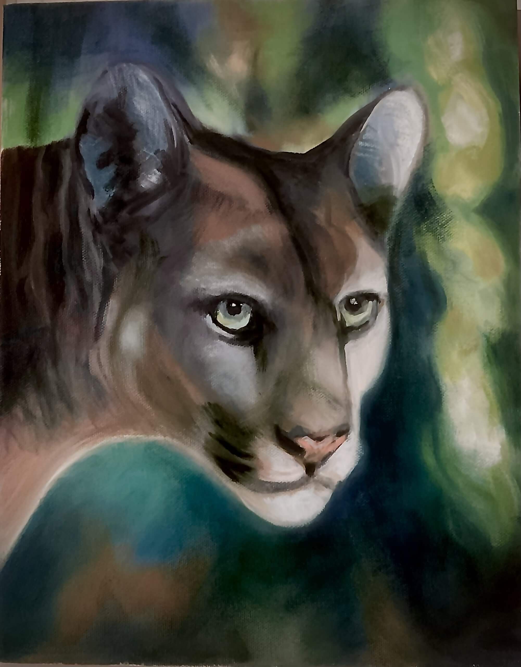 Panther from the Florida Everglades