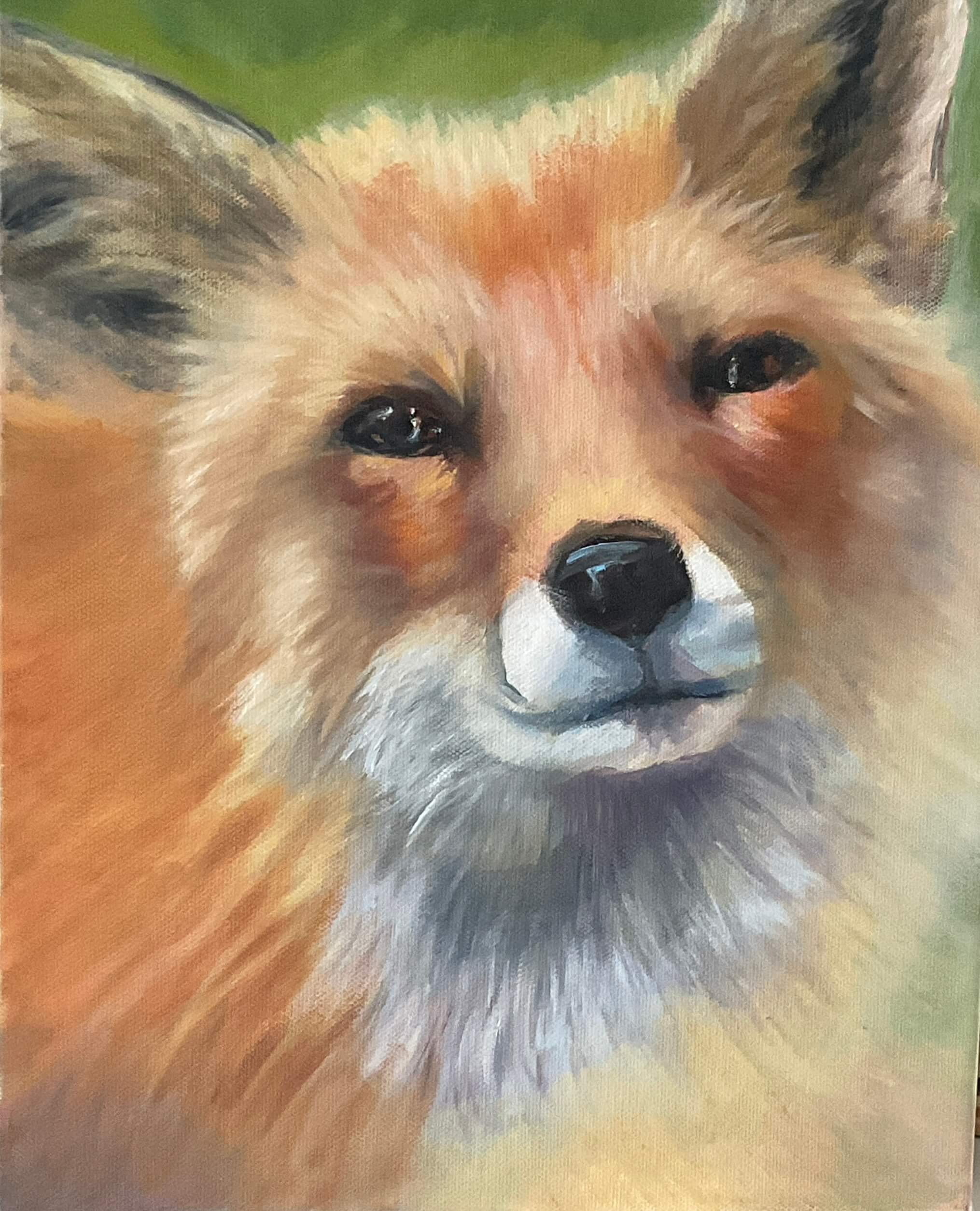 Kevin’s Red Fox