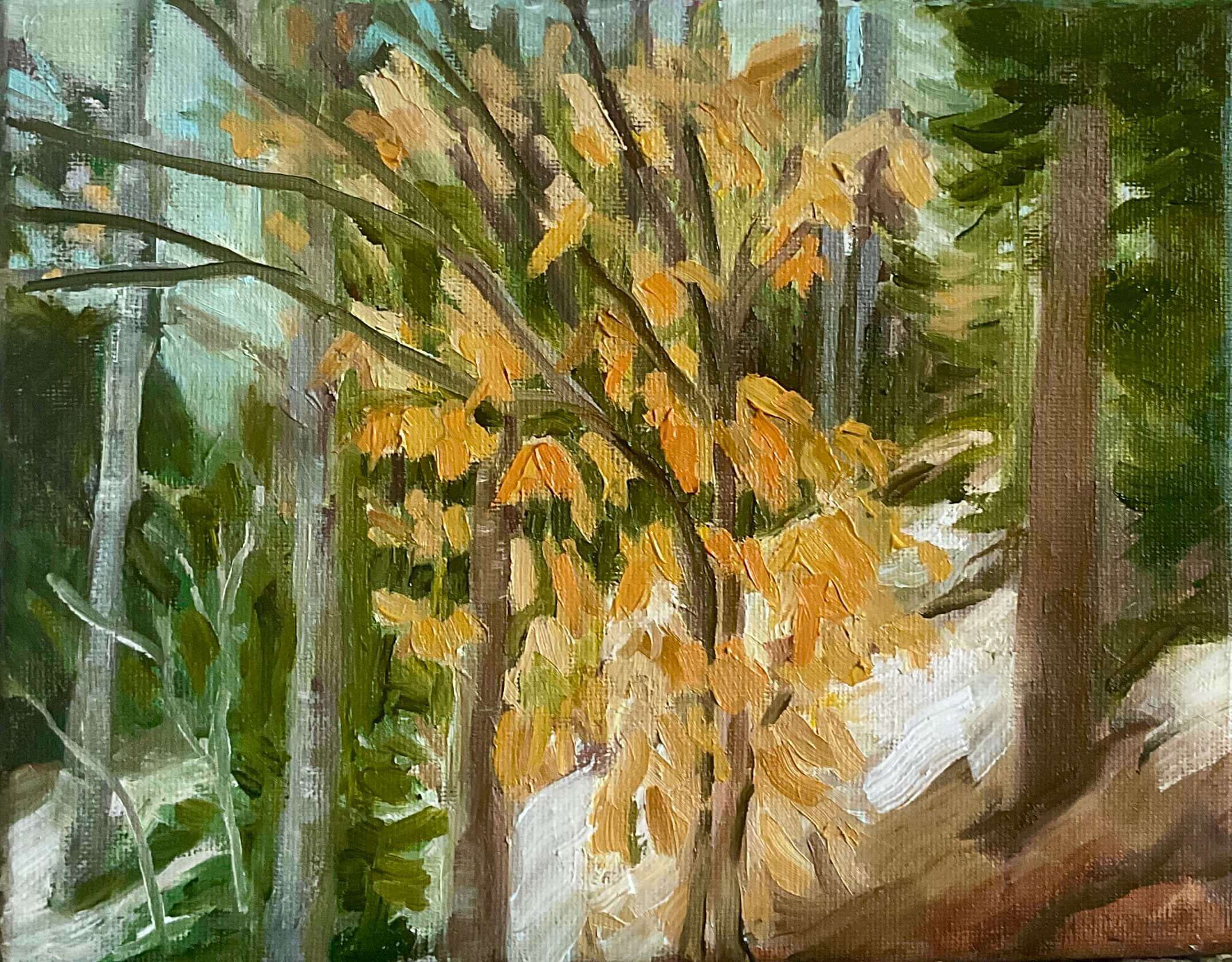 Winter forest